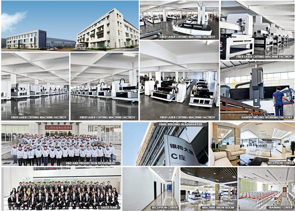 کمپنی کی معلومات